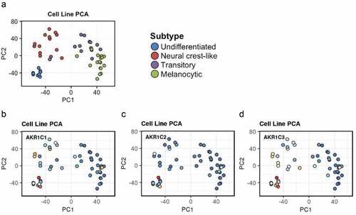 Figure 2. AKRs expression in primary tumor-derived melanoma. The expression of AKR1C1÷ C3 was evaluated in the “Graber cohort” of melanoma cells directly derived by primary tumors (https://systems.crump.ucla.edu/dediff/index.php). This interpolation shows that the three enzymes seem to be preferentially expressed in the less differentiated cell types, especially the AKR1C3.