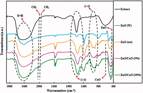 Figure 5. FT-IR spectra for the V. arctostaphylos L. fruit extract, ZnO (W), ZnO (ext), ZnO/CuO (5%) and ZnO/CuO (10%) samples.