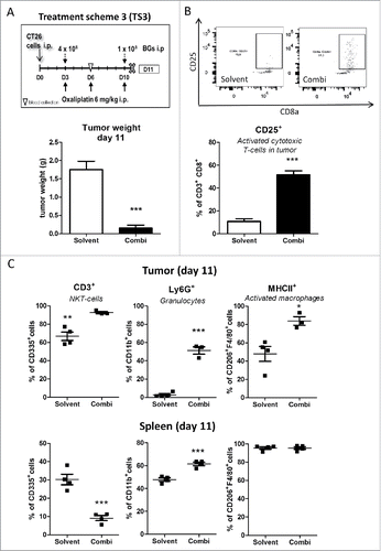 Figure 5. Impact of the combination treatment on the immune cells in tumor and spleen tissue. (A) Male BALB/c mice were injected i.p. with 1 × 105 CT26 cells on day 0 (D0) and treated according to TS3 (n = 4 per group). Animals were sacrificed on day 11 and tumor as well as spleen tissue collected. Statistical significance of the impact of combination treatment was calculated by unpaired t test (***p < 0.001). (B) Impact of treatment on tumor-associated activated cytotoxic T-cells (CD25+) was analysed by flow cytometry. In addition, representative dot plots from each group are shown. (C) Therapy-induced changes on NK-T cells (CD335+/CD3+), granulocytes (CD11b+/Ly6G+) and active macrophages (F4/80+/MHCII+) in tumor vs. spleen tissue were evaluated by multicolor flow cytometry. Each point represents one individual mouse. Statistical analysis was done using unpaired t test (*p < 0.05;**p < 0.01; ***p < 0.001).