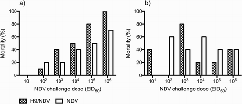 Figure 1. Mortality rates of challenged (a) and sentinel birds (b). Birds were monitored for 21 days after the challenge/contact.