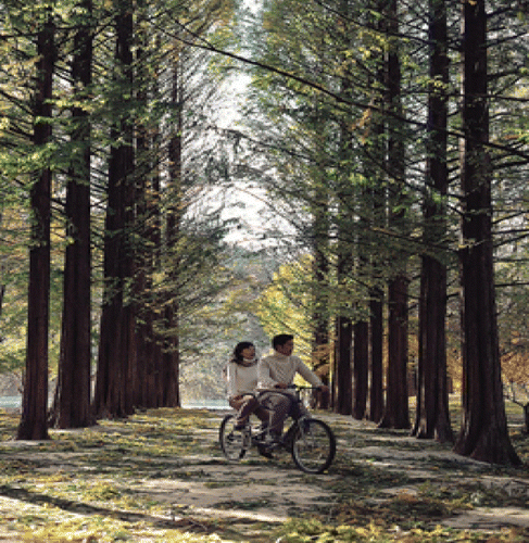 Figure 3. A screen tourist couple re-enacting the bicycle scene from Winter Sonata.