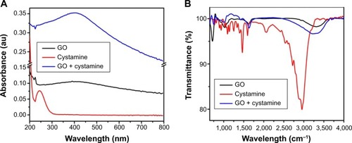 Figure 4 UV–Vis spectrum of cystamine, GO, and cystamine-conjugated GO.Notes: (A) UV–Vis spectrum of cystamine (red color), GO (black color), and cystamine-conjugated GO (blue color). The peak of GO at 232 nm remains stable in cystamine-conjugated GO. (B) Fourier transform infrared (FT-IR) spectroscopy of cystamine (red color), GO (black color), and cystamine-conjugated GO (blue color). FT-IR confirmed the conjugation of cystamine with GO.Abbreviations: UV–Vis, ultraviolet-visible; GO, graphene oxide; au, arbitrary unit.