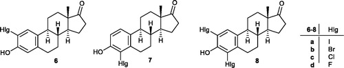 Figure 1. Ring A halogenated derivatives 6–8 of estrone.
