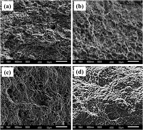 Figure 6. SEM photomicrographs of fractured surface for Al/Al2O3 based P-NCs, (a) 0.2%, (b) 0.3%, (c) 0.4%, and (d) As-received AA6061-T6.