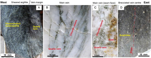 Figure 2. Photographs of the Birthday Reef mineralogy and textures. A, Hanging wall margin with disseminated arsenopyrite (scattered bright specks) in sheared argillite. B, Internal texture of quartz vein. C, Similar material to B, broken on a chloritic seam to show visible gold. D, Silicified breccia impregnated with arsenopyrite and pyrite.