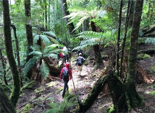 Figure 2. Experiential learning – forest immersion (photo by Gabi Mocatta).