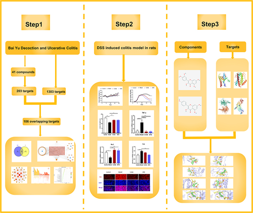 Figure 1 The framework of this study.