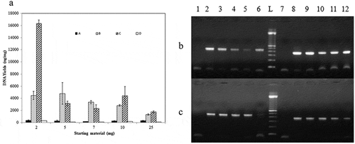 Figure 6. (a) Histogram of DNA yields1 obtained from brand 2 of Tunisian turkey salami using four extraction protocols (A) NaOH extraction protocol (Protocol 1) (B) Phenol Chloroform Isoamyl alcohol extraction protocol2 (using 3.5 ml of the acqueous phase) (Protocol 2) (C) Phenol Chloroform Isoamyl alcohol extraction protocol2 (using the rest of the acqueous phase) (Protocol 3) (D) DNeasy blood and tissue kit (Protocol 6) using differents masses of samples (2, 5, 7, 10 and 25 mg). (b) and (c) PCR product generated by D-loop and cytochrome b primers amplification of DNA extracted from brand 2 of turkey salami using different masses of starting material. (b): NaOH extraction protocol (Protocol 1), (c): DNeasy blood and tissue kit (Protocol 6): 2 mg (Lane 2 and 8), 5 mg (Lane 3 and 9), 7 mg (Lane 4 and 10), 10 mg (Lane 5 and 11) and 25 mg (Lane 6 and 12). P1→P6: D-loop primers, P7→P12: cytochrome b primers, L: 100 bp DNA ladder (Catalog Number:15628019; ThermoFisher Scientific). P1: negative control of D-loop primers, P7: negative control of cytochrome b primers.1DNA yield is calculated by multiplying the DNA concentration measured by nanodrop (ng/µl) by the elution volume (µl) divided by the sample mass (mg). 2Phenol Chloroform Isoamyl alcohol protocol corresponding to Bardakci and Skibinski protocol with homogenization by a ball mill (vibro mill MM 400).