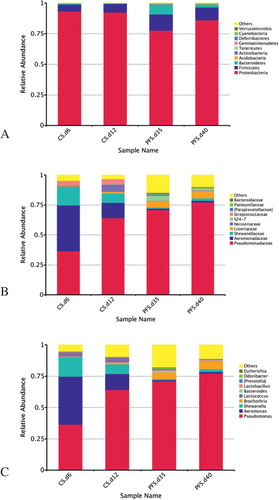 Figure 4. Relative abundance of microbiota based on phylum level (A), family level (B), and genus level (C) in crucian carp fillets stored at 4°C (CS) and −3°C (PFS).