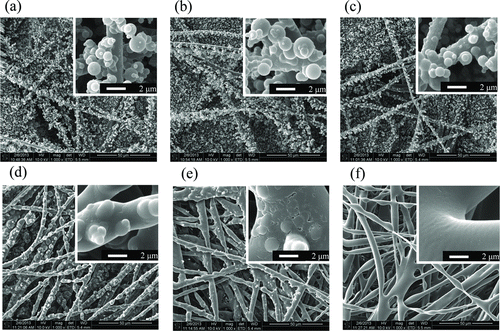 FIG. 5 SEM micrographs of antimicrobial filters exposed to (a) room temperature (20°C), (b) 50°C for 1 h, (c) 50°C for 24 h, (d) 100°C for 5 min, (e) 100°C for 10 min, and (f) 100°C for 30 min.