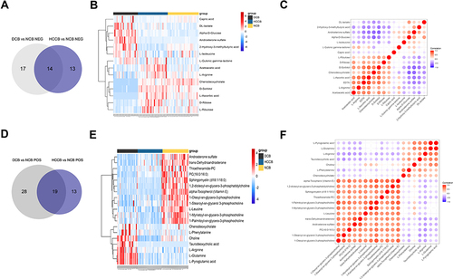 Figure 3 Common metabolites in the blood between groups HCCB vs NCB and DCB vs NCB. (A) Venn diagram of the overlapping metabolites in negative ion mode. (B) Heatmap of the overlapping 19 metabolites in negative ion mode. (C) Heatmap of the overlapping 19 metabolites in negative ion mode. (D) Venn diagram of the overlapping metabolites in positive ion mode. (E) Heatmap of the overlapping 23 metabolites in positive ion mode. (F) Heatmap of the overlapping 23 metabolites in positive ion mode.