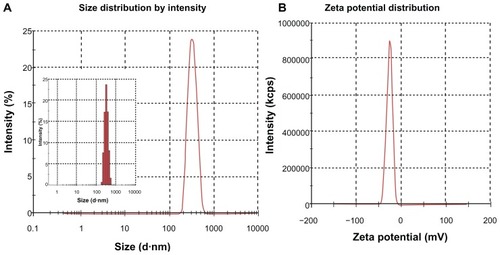 Figure 2 (A) Size and (B) zeta potential of SPN-GLP-1 measured by Malvern Zetasizer Nano ZS (Malvern, UK).Abbreviation: SPN-GLP-1, silica-based pH-sensitive nanomatrix loaded with glucagon-like peptide-1.