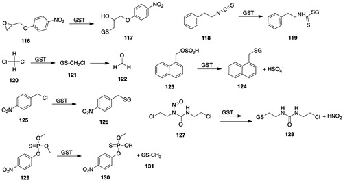 Figure 10. GSTT substrates. 116, 1,2-epoxy-3-(4-nitrophenoxy)propane (EPNP); 117, S-(2-hydroxy-3-[4-nitrophenoxy]propyl)GSH; 118, phenethyl isothiocyanate; 119, S-(N-phenethylthiocarbamoyl)GSH; 120, dichloromethane; 121, S-(chloromethyl)GSH; 122, formaldehyde; 123, 1-menaphthyl sulfate; 124, S-(1-menaphthyl)GSH; 125, 4-nitrobenzyl chloride; 126, S-(4-nitrobenzyl)GSH; 127, 1,3-bis(2-chloroethyl)-1-nitrosourea (BCNU); 128, 1-(2[-glutathion-S-yl]ethyl-3-(2-chloroethyl)urea; 129, methyl parathion; 130, O-methyl O-(4-nitrophenyl) phosphorothioate; 131, S-(methyl)GSH.