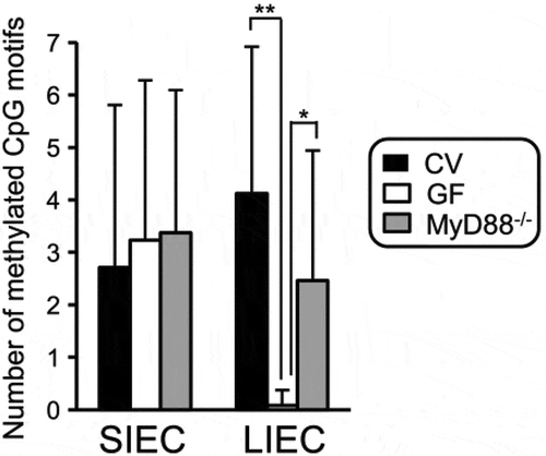 Figure 3. IEC: intestinal epithelial cell; SIEC: small; IECL: IEC large intestine; CV: conventional; GF: germ-free; IEC: intestinal epithelial cell; SIEC:small; LIEC: large intestine; CV:conventional; GF: germ-free; from Takashi et al Ref. Citation94.