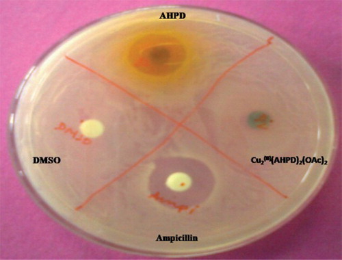 Figure 3. Zone of inhibition induced by different compounds on S. aureus.