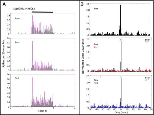 Figure 4 Peri-stimulus time histograms and normalized cross-covariance function for two On sustained retinal ganglion cells (Sep12R1Ch4x6) stimulated with a small spot (Cs2). (A) The top panel shows the average firing of the two cells (magenta vs green) during the pre-tACS base period. The middle panel shows that both cells increase in firing during tACS. The bottom panel shows that much of this firing increase persists after cessation of the tACS current. Black bar at top indicates timing of stimulus presentation. (B) The normalized cross-covariance function for delays from −50 to +50 msec in the top panel is for the baseline pre-tACS period. The middle panel compares cross-covariance during baseline (black) versus during tACS (red). The bottom panel compares baseline cross-covariance to that after cessation of tACS current (blue). Two-way ANOVA p=0.05. Interaction, F (800, 29,674) = 1.102, p=0.0244. Row Factor, F (400, 29,674) = 1.374, p<0.0001, Column Factor, F (2, 29,674) = 48.83, p<0.0001. Square symbols above a bin denote significant differences in the multiplicity adjusted p-values between the plots at the p<0.05 level. Double height symbols above a bin denote significant differences between the plots at the p<0.005 level, triple height symbols denote significant differences at the p<0.0005 level.