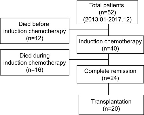 Figure 1 Flow diagram of the study.