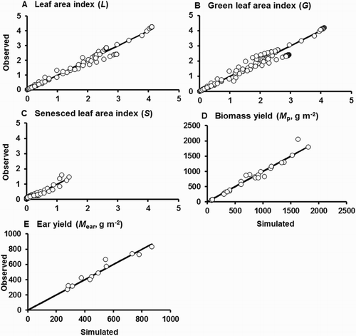 Figure 2. Comparison of observed with simulated values for L, G, S, Mp, and Mear for the first fitting (against Dataset 1). The solid lines plotted are those for perfect agreement (slope = 1, intercept = 0). Leaf area data are for the sum of leaves on the main stem and tillers. L, G, and S values are not plotted for the Moderate Late Deficit (MLD) treatment.