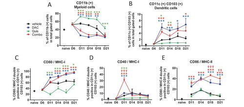 Figure 5. Effect of in vivo EMA treatment on myeloid and dendritic cells in the bone marrow.Mice were treated from day 7 onwards with DAC (0.2 mg/kg daily intraperitoneally). Starting at day 9, mice received Quis (1.5 mg/kg, every other day subcutaneously). At indicated timepoints, mice were euthanized and BM was isolated from the hind legs for FACS analysis. First, debris was excluded using FSC/SSC. Next, living cells were selected based on negative near-IR Live/Dead staining (represents total gated cells). Next, CD11b and CD11c/CD103-positive events were selected.A: Percentages of CD11b(+) cells in the bone marrow of treated miceB: Percentages of CD11c(+)/CD103(+) cells in the bone marrow of treated mice.C-E: percentages of CD80/MHC-I (C), CD40/MHC-I (D), CD86/MHC-II (E) double positive cells within CD11c(+) cells. Dots and error bars represent mean and standard deviation (n = 3 for naive mice, n = 5–8 per group). *, ** and *** indicates p < 0.05, p < 0.001 and p < 0.0001, respectively compared to control condition. †† and ††† indicates p < 0.001 and p < 0.0001 compared to respective single agent treatments. (DAC = decitabine, Quis = Quisinostat).