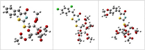 Figure 4. The calculated molecular structures of the investigated compounds 13a, 13b, and 13c.