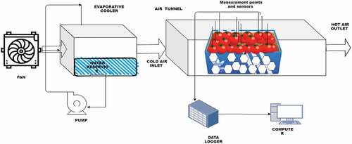 Figure 1. Experimental setup for precooling of tomato.