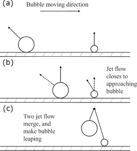 Figure 15. Schematic interaction between bubbles: streamline of jet flows of two chasing bubbles.