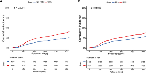 Figure 1 Kaplan–Meier curves for the cumulative incidence of MACE according to different SII levels (A), glycemic metabolism status (B).