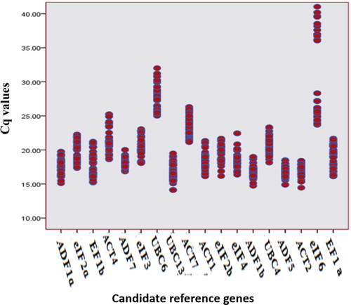 Figure 1. Expression levels of candidate reference genes tested using the qPCR cycle threshold values (Cq).