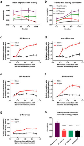 Figure 10. Neuronal activity and movement encoding. a. Mean neuronal activity of different groups in learning trials. b. Trial-to-trial activity correlation for different groups of neurons. (c–g) Correlations of activity vs. movement with respective expert patterns in cued trials (84-frame window) for all (c), Core (d), NP (e), EP neurons (f), and Other neurons (g). Naïve refers to session 1-3 and expert to session 10-14. h. Neuronal activity correlation with learned pattern for expert-like movements (corr. > 0.5) in naïve sessions. **** p-value < 0.0001 (one-sided paired t-test). Error bars indicate s.e.m computed across all L2/3 animals.