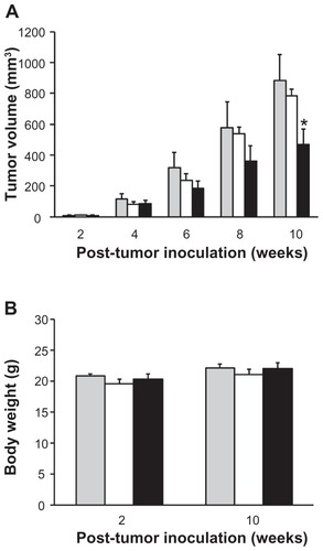 Figure 5 In vivo efficacy of orally given quercetin nanomicelles in subcutaneous A549 lung tumor xenograft murine model. Mice (n = 6) were treated with 30 mg/kg quercetin three times per week for 3 weeks by oral gavage, with treatment given in 3, 4, and 5 weeks post tumor inoculation. Study groups included untreated control (Display full size), quercetin in ethanol-based suspension (□) or nanomicelles (■).Notes: *represents P < 0.05 compared to control and quercetin oral suspension.