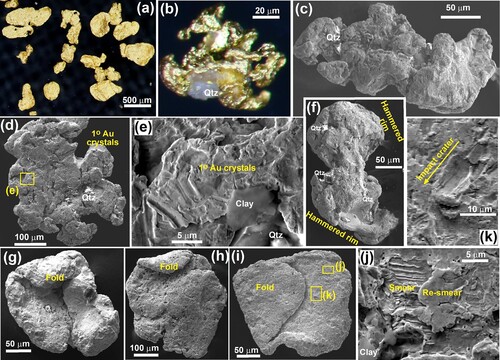 Figure 6. Microscopic views of gold particle morphology in samples from Vinegar Hill-Shepherds Flat drillholes. A,B, are light microscope views; rest are SEM backscatter electron images. A, Typical combination of flakes and irregular particles. B, A rare complex particle with delicate protrusions grown over quartz. C, Rough and irregular particle with embedded fine quartz particles (white electron-charging). D, Rough particle with remnants of primary gold crystals. E, Close view of D, showing relict crystal outlines. F, Dumbell-shaped particle with heavily modified ends. G–I, Examples of increasing fold development on progressively thinner flakes. J, Two generations of ductile smearing of surficial gold on the surface of folded flake in I. K, Oblique impact crater in the surface of the flake in I.
