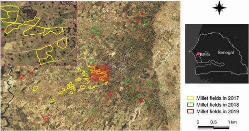 Figure 1. Location of the study area and the sample fields included in the work for which yield measurements were conducted. Note that five fields were monitored in both 2018 and 2019. The zoom at the top left highlights the presence of trees in the fields. Bing Maps images are displayed in the background