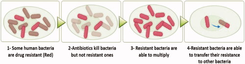 Figure 1. A diagrammatic representation revealing the steps of antibiotic resistance.