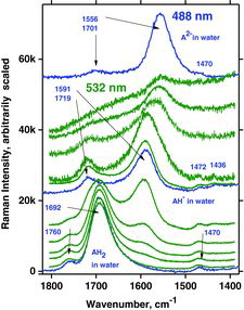 Figure 21. Titration experiments on ascorbic acid dissolved in water after increasing amounts of NaOH solution, done with 532 and 488 nm laser excitation and the DILOR-XY instrument. Bottom: Neat solutions of ascorbic acid in water (pH ∼2). Top: Spectra versus increasing additions of base (to pH = >12).