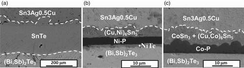 Figure 1. SAC305 reflow on (Bi,Sb)2Te3 substrate at 250°C (a) without diffusion barrier for 30 min (b) with Ni–P (c) with Co–P diffusion barrier and aging at 150°C for 15 days.