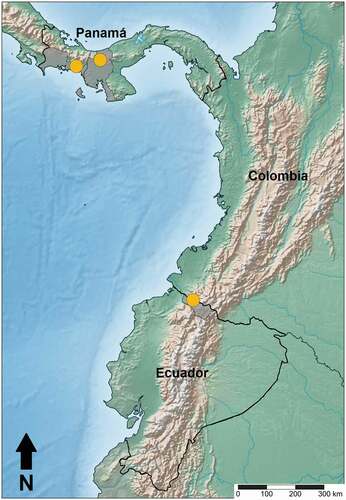 Figura 3. Mapa de distribución de Scaphyglottis clavata. En gris se resaltan las provincias Chiriqui y Veraguas en Panamá y Carchi en Ecuador