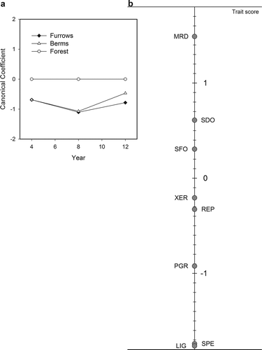 Figure 3. Principal response curves (PRC) through time for trait composition in the furrows and the berms compared to natural forest stands. Presented are (a) the canonical coefficient for the berm and furrow locations in the 4, 8, and 12-year-old hybrid poplar plantations and (b) the scores for all traits. In (b), scores indicate how strongly each trait is associated with the natural forest (larger positive values) or plantations (larger negative values). LIG: light requirement; MDR: minimum root depth; PGR: growth rate; REP: main reproduction mechanism; SDO: seed dormancy; SFO: foliage structure; SPE: seed persistence; XER: water preference. See Table 3 for detailed variable descriptions.