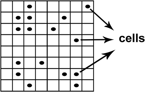 Figure 1. N × N grid representing the flask, each mesh referred to as ‘locus’.