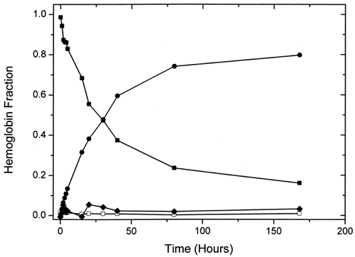Figure 5. Plot of the variation of the amounts of the different hemoglobin species with time during ααHb autooxidation as determined by multicomponent fits of their UV-vis spectra. Fitted species are oxy (▪), met (•), deoxy (□), and azomet-like (♦) hemoglobin.