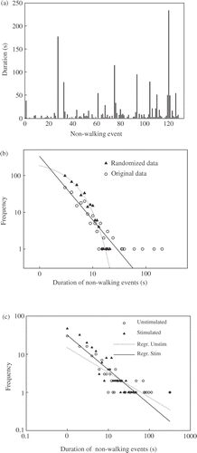 Figure 4. (a) Example of successive non-walking periods (events) and their time duration (s). Many large events are visible. (b) Example of log–log plot of the frequency distribution of non-walking events of a given duration, original and randomized time series are presented. Notice that the original time series shows a power law distribution (straight line) while the randomized time series has an exponential distribution (dotted line). (c) Examples of logã–log plots of the frequency of the duration of non-walking events in the Unstimulated and Stimulated groups. Reg. Stim. and Reg. Unstim. represent the regression line for Stimulated and Unstimulated birds, respectively.