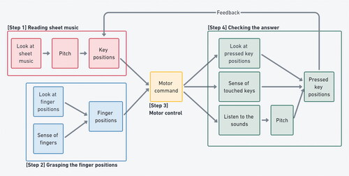 Figure 1. Four kinds of difficulties of sensorimotor transformation in playing keyboard instrument.