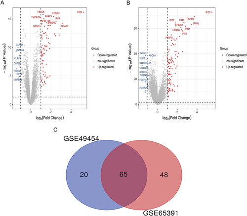 Figure 1 Identification of DEGs between SLE and healthy controls. (A) Volcano plot illustrating 85 DEGs identified in GSE49454. (B) Volcano plot illustrating 113 DEGs identified in GSE65391. (C) Venn map showing 65 overlapping DEGs between the two datasets.