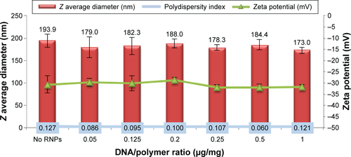 Figure S2 Effect of DNA/polymer ratio on the size and zeta potential of composite nanoparticles.Note: Data are shown as mean ± SD (n=3).Abbreviations: SD, standard deviation; RNPs, RALA nanoparticles.