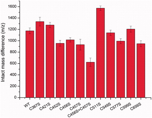 Figure 4. Differences in the intact mass of untreated and cisplatin-treated cysteine mutants.