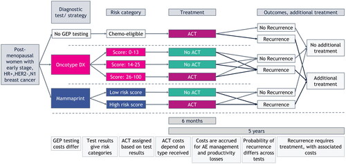 Figure 1. Structural overview of the cost-consequence model. Total costs were calculated for every testing strategy. Costs for ACT and short-term AE management are calculated over a period of 6 months and for treating recurrent disease and long-term AE management over a period of 5 years. Abbreviations. ACT, adjuvant chemotherapy; AE, adverse events; GEP, gene expression profiling; HER2–, human epidermal growth factor receptor 2 negative; HR+, hormone receptor positive; N1, nodal stage (1–3 positive lymph nodes).