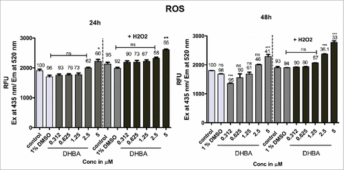 Figure 4a. HDAC inhibitor DHBA increased ROS levels in a dose and time dependent manner to induce cell death. Further, in the presence of an external ROS generator like H2O2, the production of ROS was much higher compared with H2O2 and DHBA alone, indicating that these molecules cause cell death through ROS induction. Percentage of cell viability was determined using SRB assay simultaneously in both DHBA alone and DHBA with H2O2 treatment (indicated above bars). Although the viable cells reduced with treatment, ROS production increased indicating that compounds could potentially elevate the ROS levels.