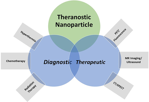 Figure 7 Theranostic NPs and their functions.