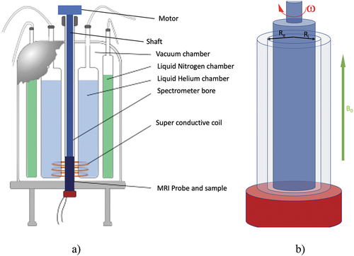 Figure 1. (Colour online) Schematic diagram of: (a) the arrangement of magnetic fields used for NMR spectroscopy and microimaging; (b) the Couette cell used inside the standard Bruker micro-imaging gradient system Micro 2.5 for rheo-NMR analysis. The Couette cell consists of two coaxial cylinders having a gap of 1 mm between them, both made of PEEK, being the symmetry axis parallel to the magnetic field direction. The mechanical motion in the device originates from a pulse-programmer-controlled stepper motor placed on the top of the magnet.