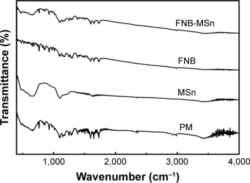Figure 5 FTIR spectra of pure FNB, PM, MSn and FNB-MSn samples.