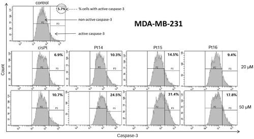 Figure 11. Flow cytometric analysis of populations MDA-MB-231 breast cancer cells treated for 24 h with 20 μM and 50 μM of Pt14–Pt16 and cisplatin for active caspase-3. Mean percentage values from three independent experiments (n = 3) done in duplicate are presented.